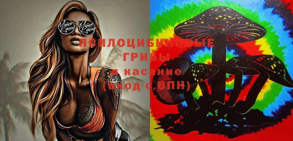 прущая мука Бугульма